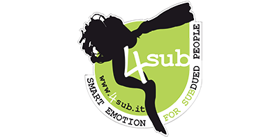 4Sub Logo